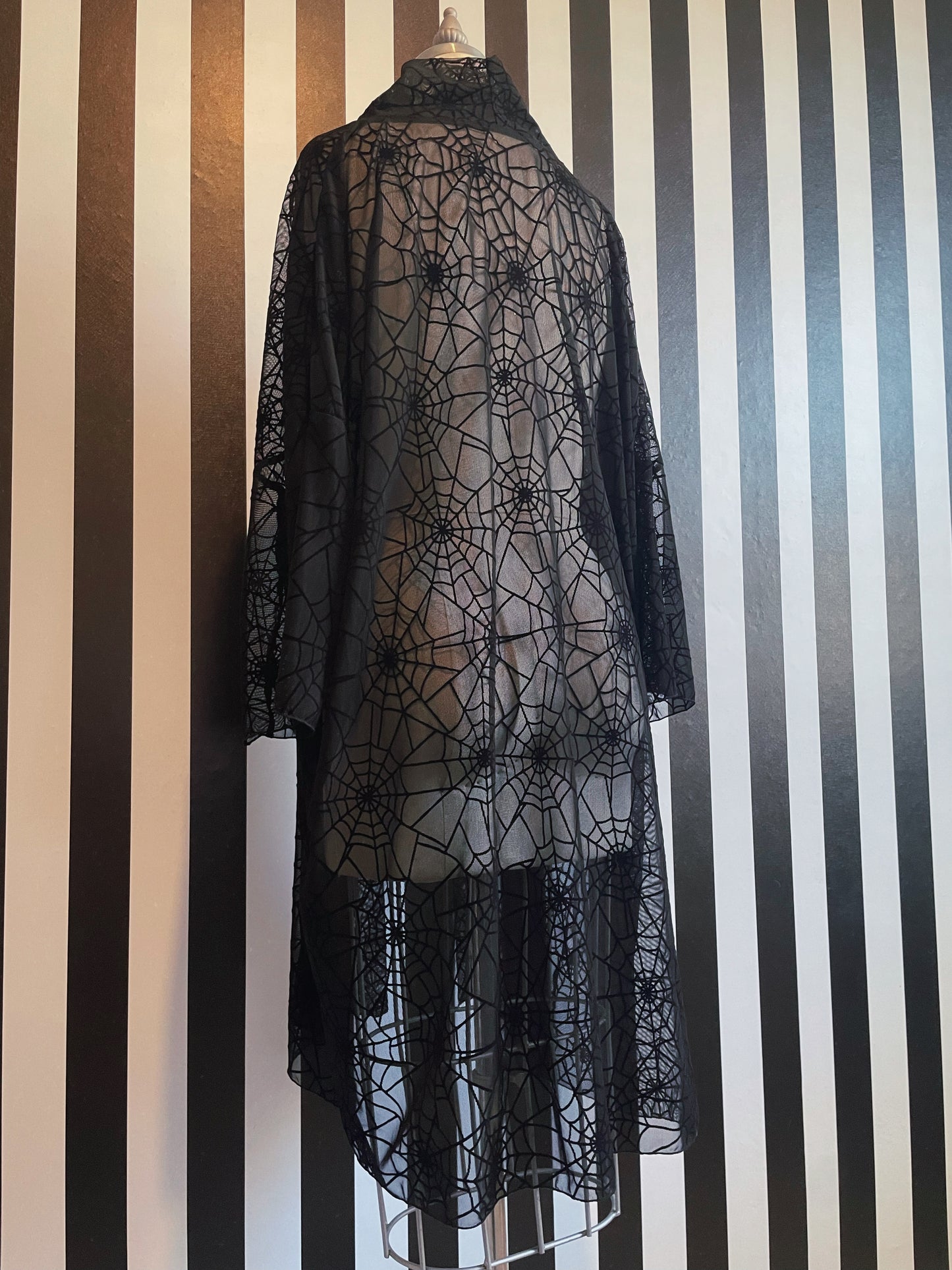 Spider Web Duster